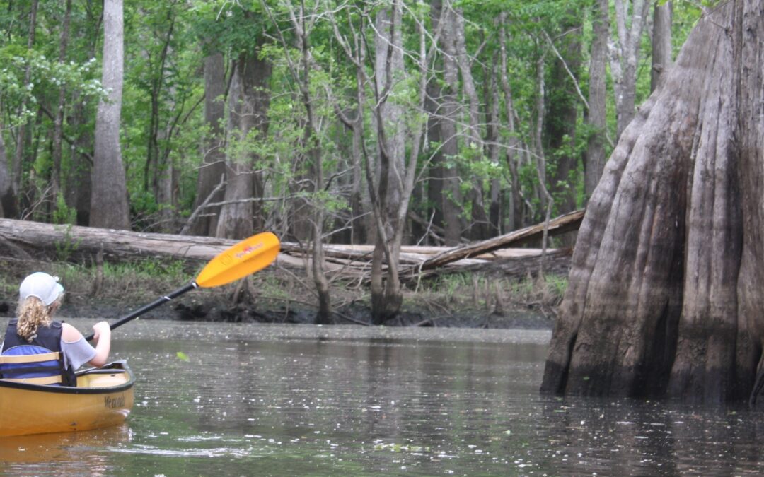Tidal Trek Camp • Ages 12-14