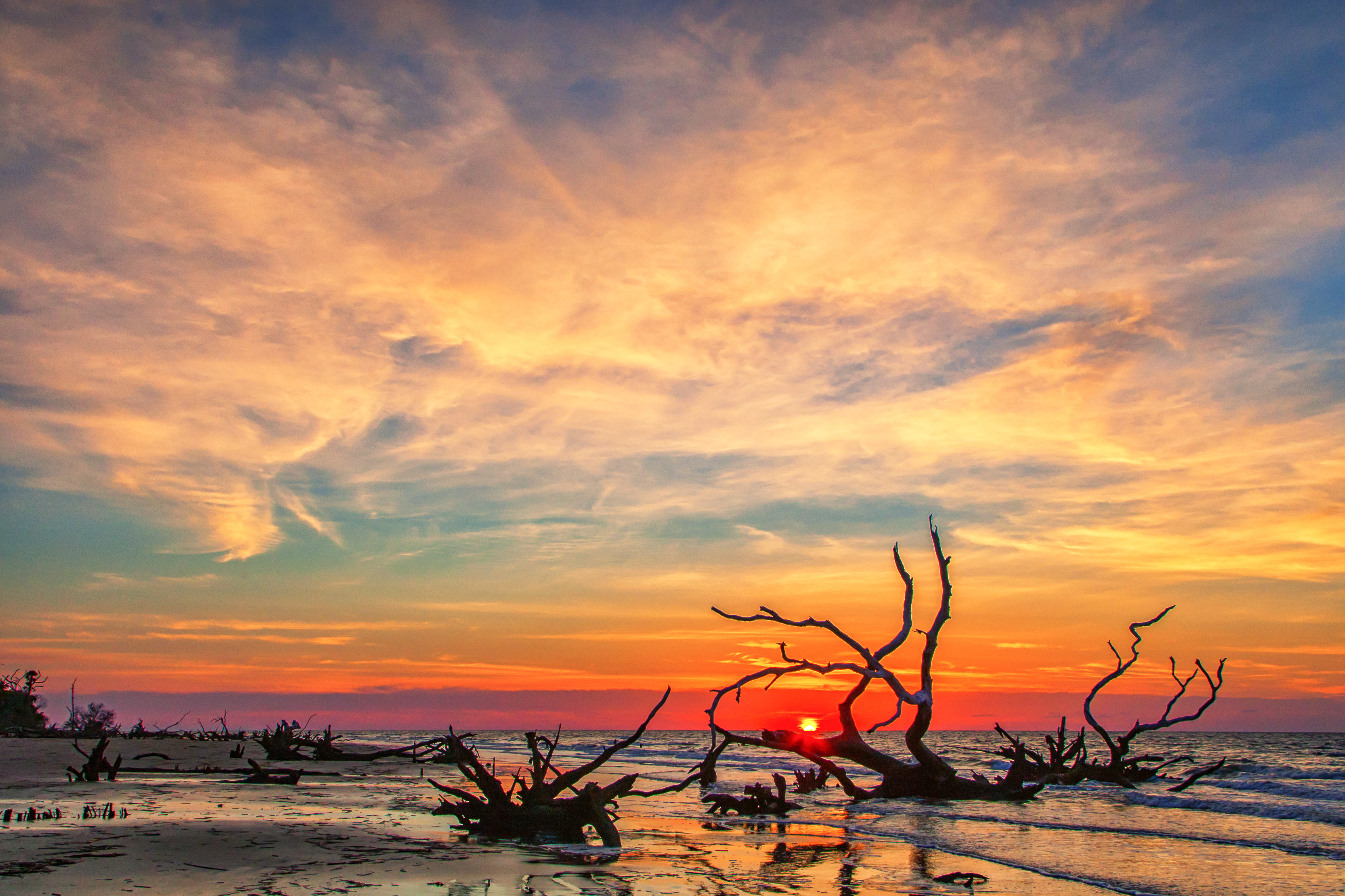 Sunrise tour, Coastal Expeditions, Boneyard Beach, Bulls Island, Cape Romain National Wildlife Refuge
