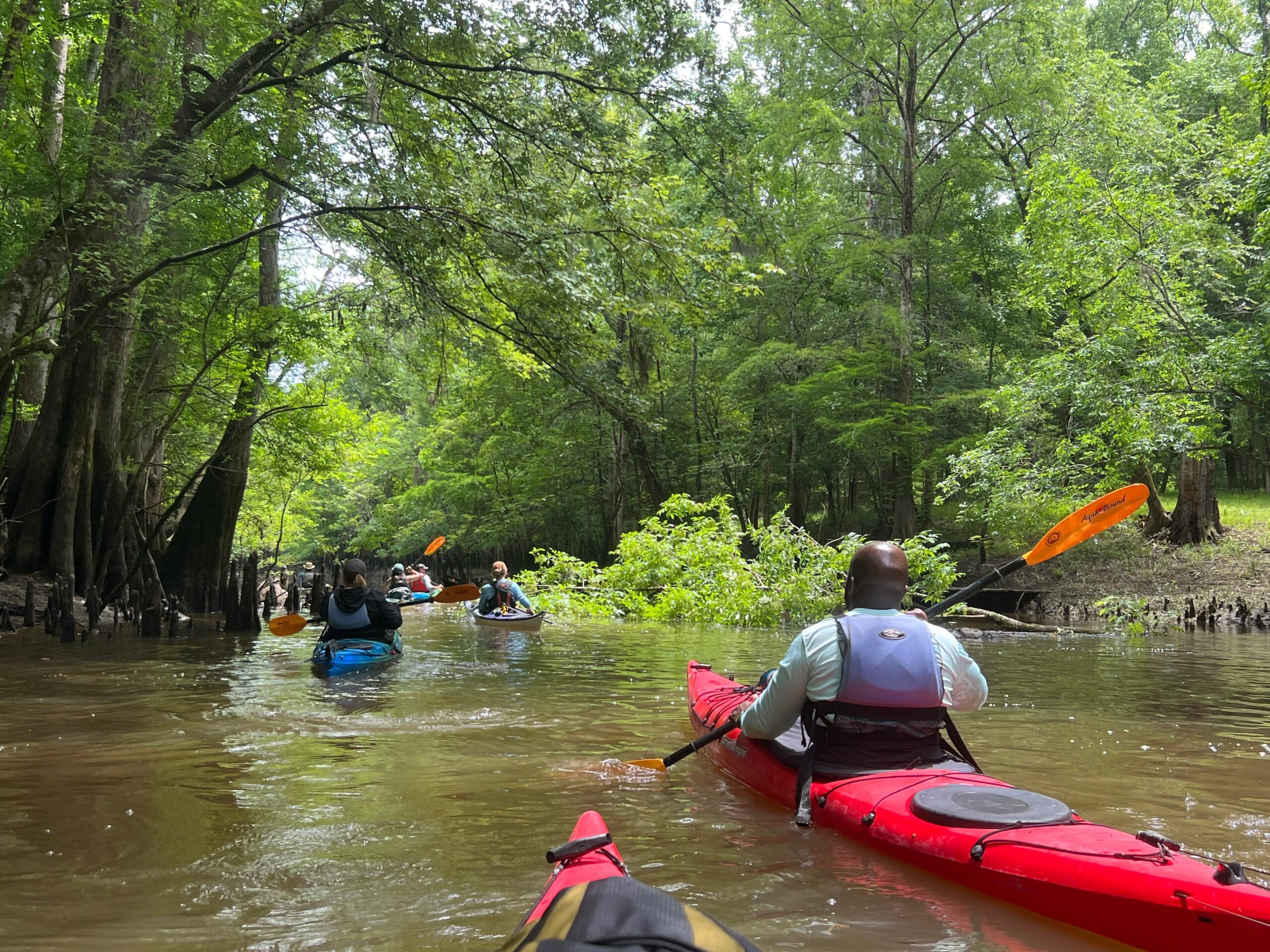 Coastal Warriors paddling down a blackwater creek Coastal Warriors paddling down a blackwater creek