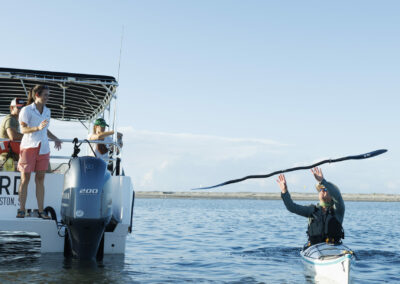 Boat, Bird Boat, Coastal Expeditions Fleet