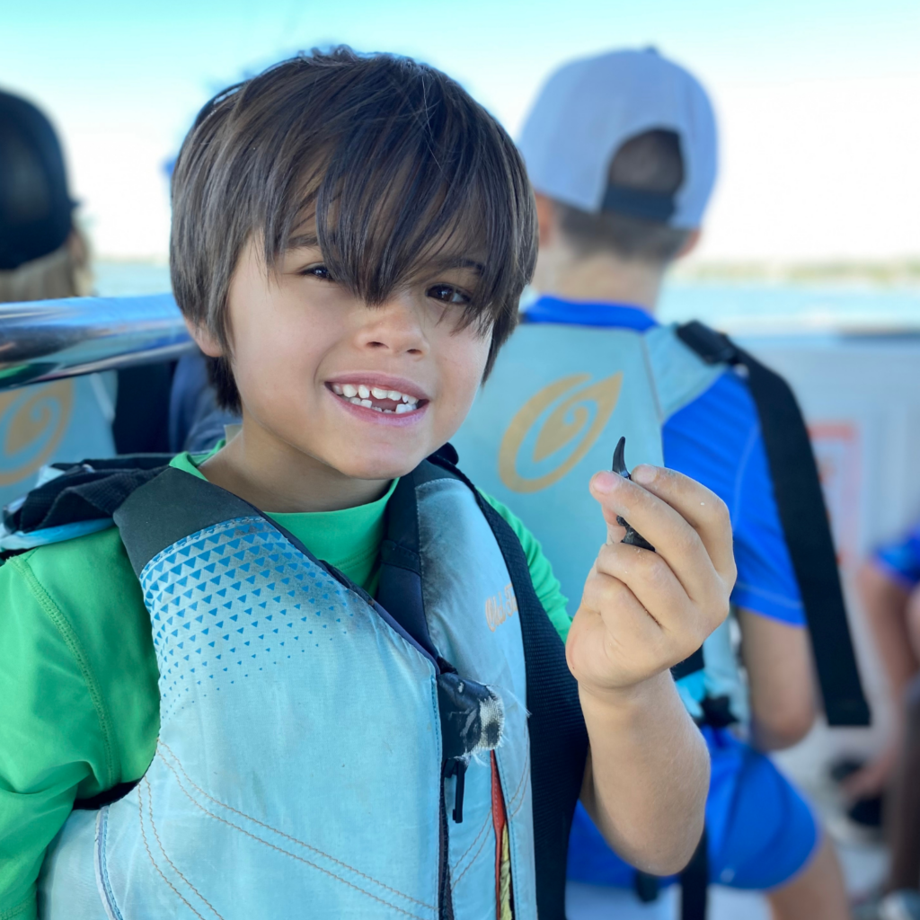 Daniel Island Archives | Coastal Expeditions