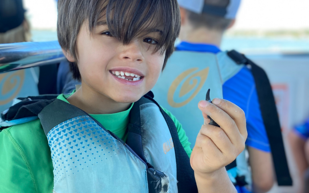 Afternoon Adventure Camp • Ages 5-9