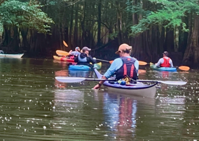 Kayaking, Wambaw Creek, Francis Marion National Forest, Coastal Warriors, Coastal Expeditions, Charleston ecotours
