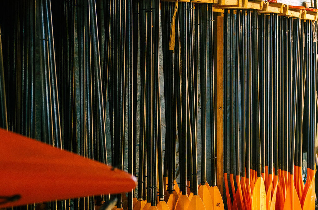 Shem Creek Kayak Rentals