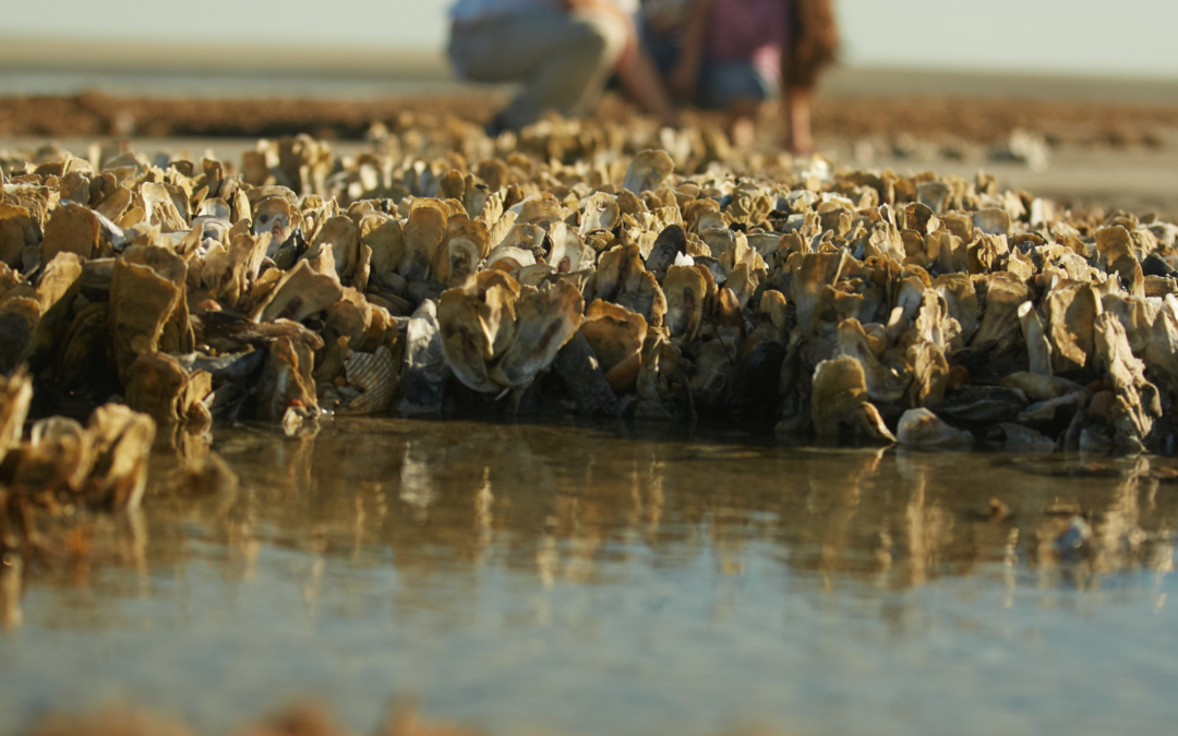 St. Phillips Island Quest
