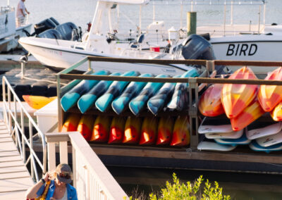 Kayaking, Paddleboards, Bird Boat, Coastal Expeditions Charters