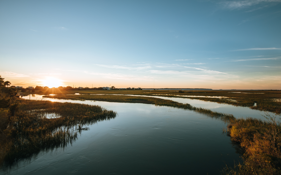 Beaufort Sunset Cruise, Things to do in Beaufort, South Carolina, Beaufort Waterfront
