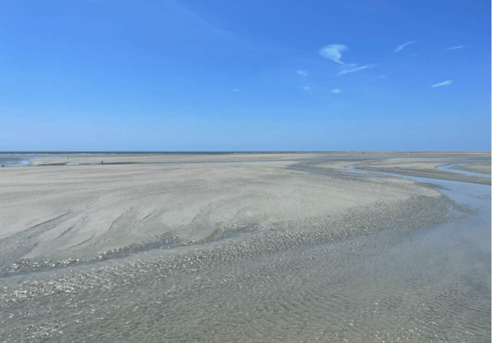 Hunting Island Beach Drop