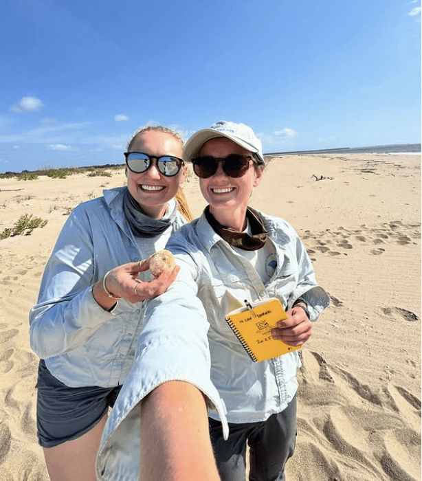 AK King, Sea Turtle, Nest, Loggerhead, Cape Romain National Wildlife Refuge