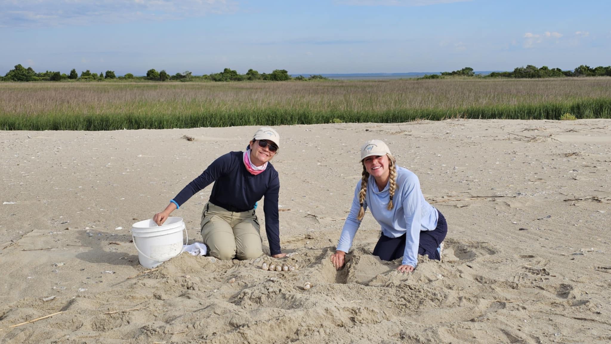 2025 Coastal Expeditions Foundation Interns Juanita Franco and Parker Pound relocating a loggerhead sea turtle nest in Cape Romain National Wildlife Refuge Loggerhead Sea Turtles, Coastal Expeditions Foundation, Sea Turtle Patrol Update, Cape Romain NWR