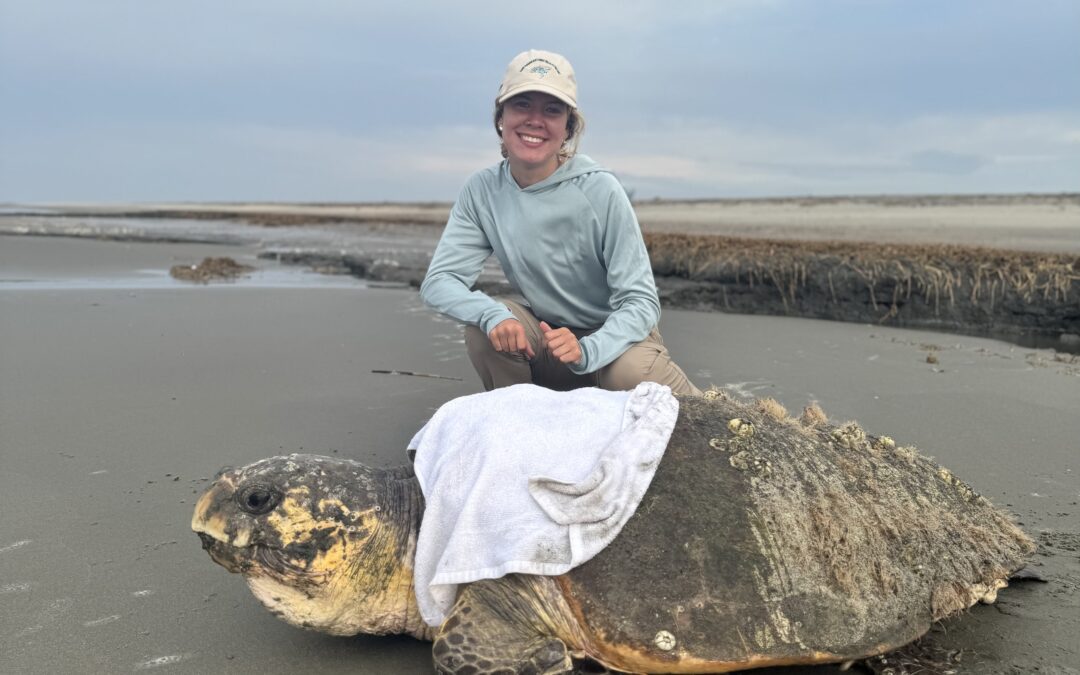 Cape Island, Coastal Expeditions, Sea Turtle Patrol, Cape Romain National Wildlife Refuge