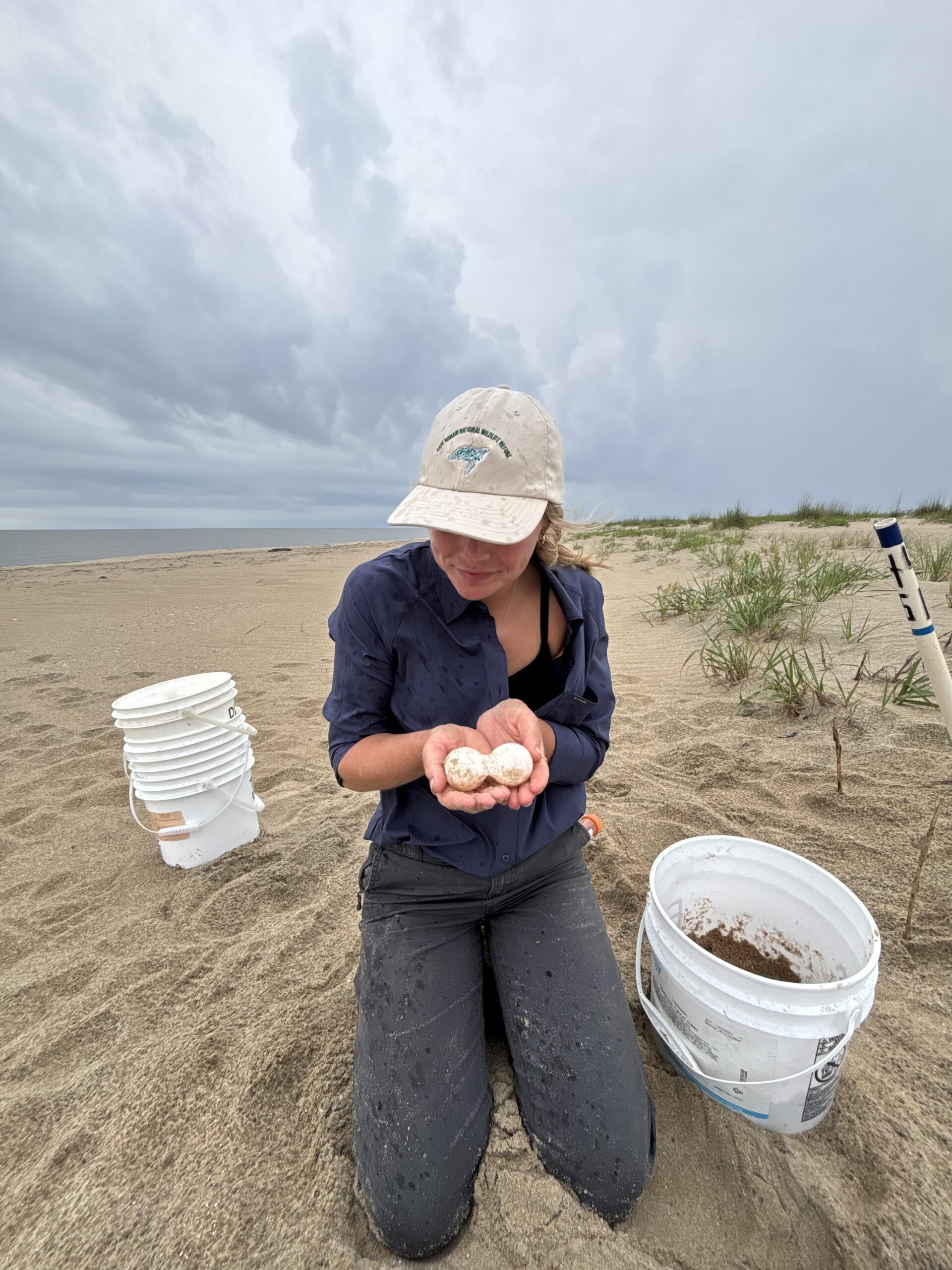 Parker Pound with a set of embryos that didn't separate when relocating a nest Parker Pound, Juanita Franco, Coastal Expeditions Foundation, Loggerhead Sea Turtles
