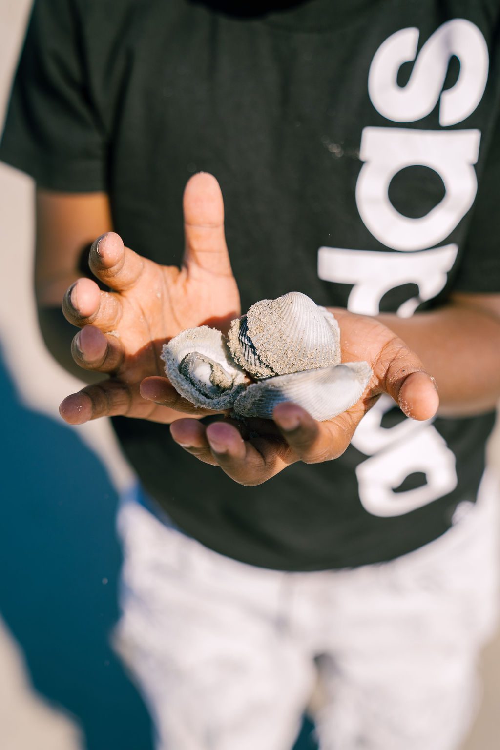 Kids, Boeing Scholars, Shells, Bulls Island, Morris Island, Outdoor School, Coastal Expeditions Foundation