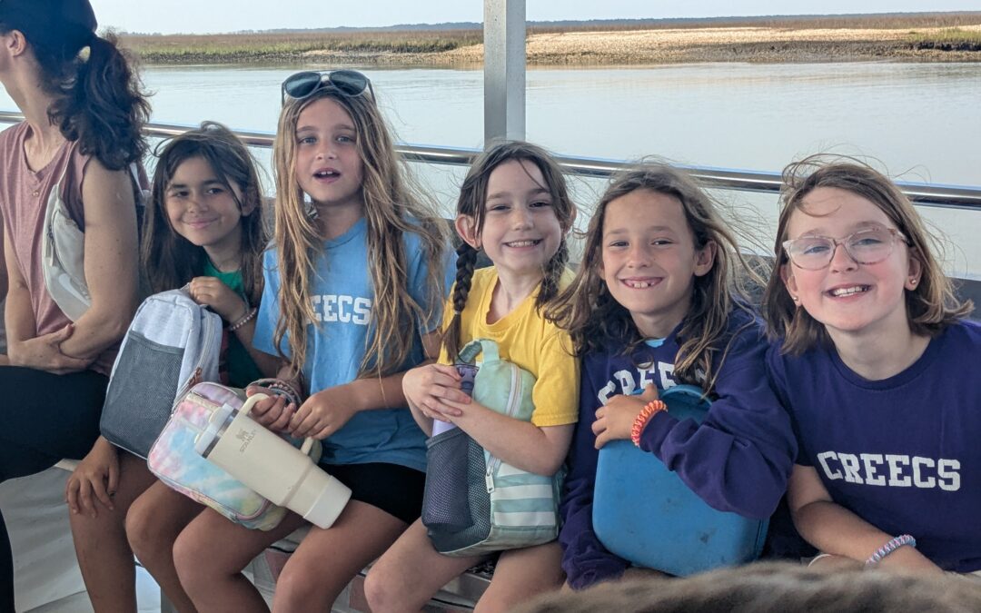 CREECS, Coastal Expeditions Foundation, McClellanville, Shorebirds, Protecting birds