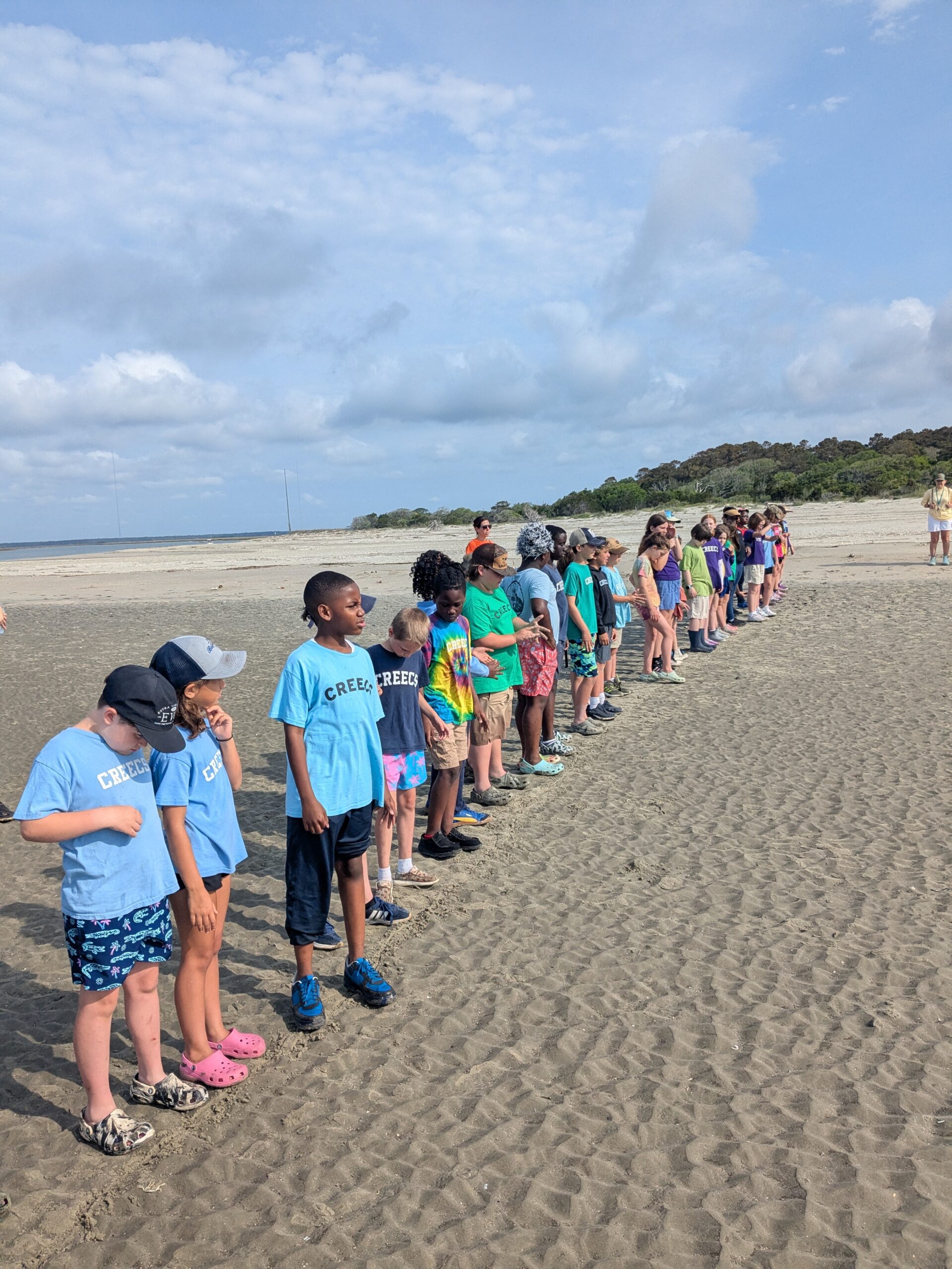 CREECS field trip to protect shorebirds with Coastal Expeditions Bulls Island, Coastal Expeditions Foundation, CREECS, Outdoor School