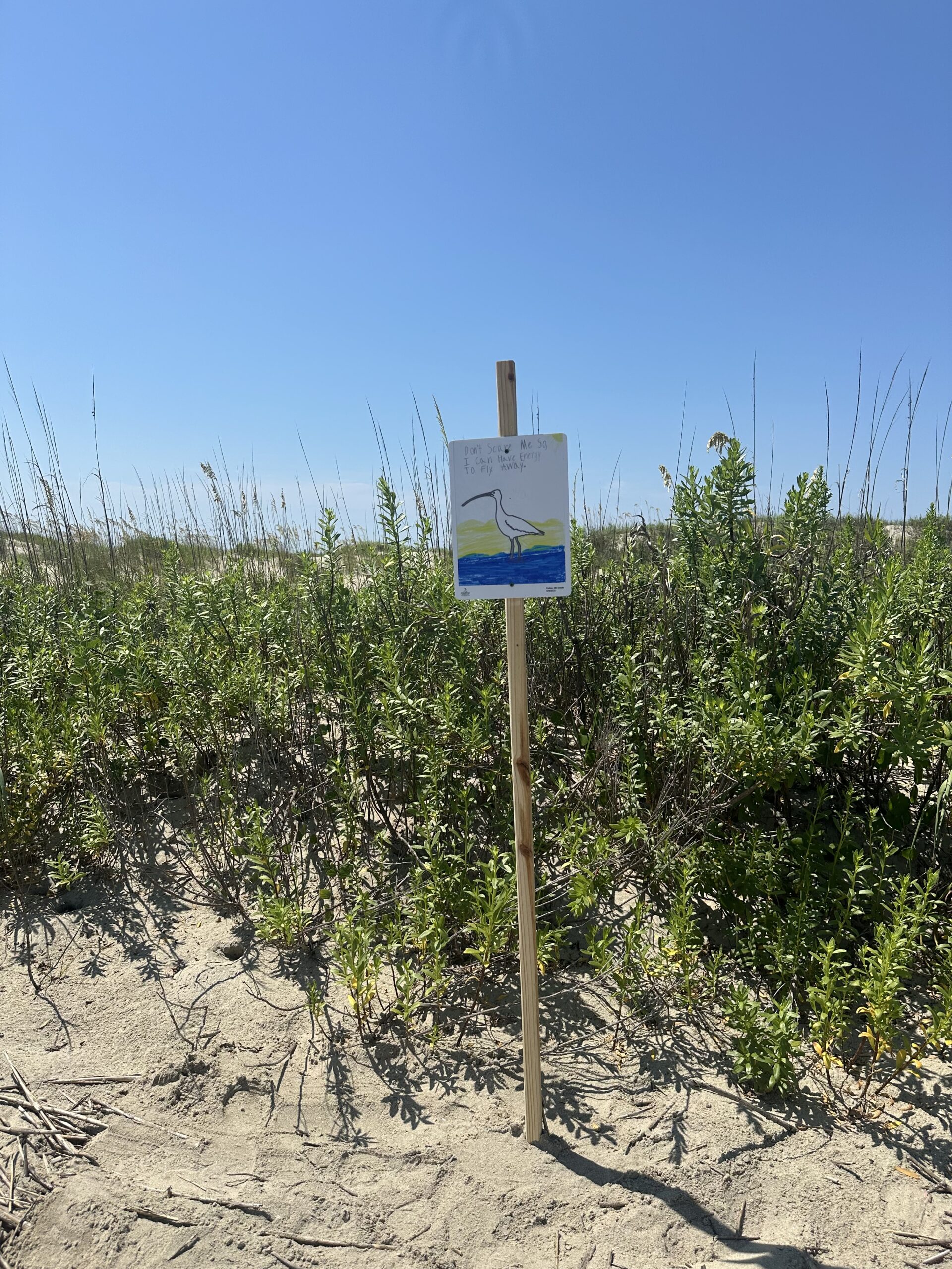 Signs made by CREECS students on Lighthouse Island in Cape Romain NWR CREECS, Coastal Expeditions Foundation, Cape Romain NWR