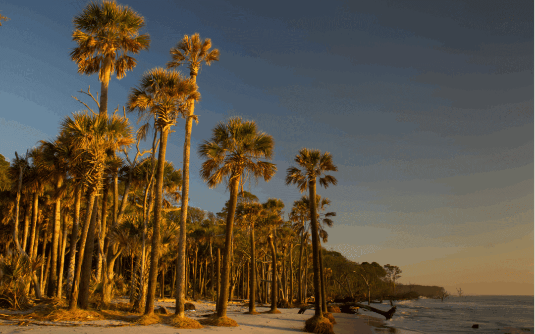 Coastal Expeditions Outdoor Leadership Program