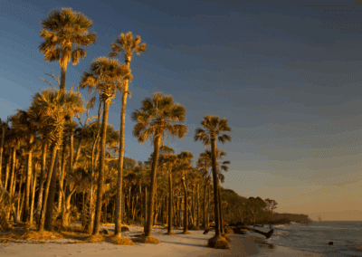 Coastal Expeditions Outdoor Leadership Program