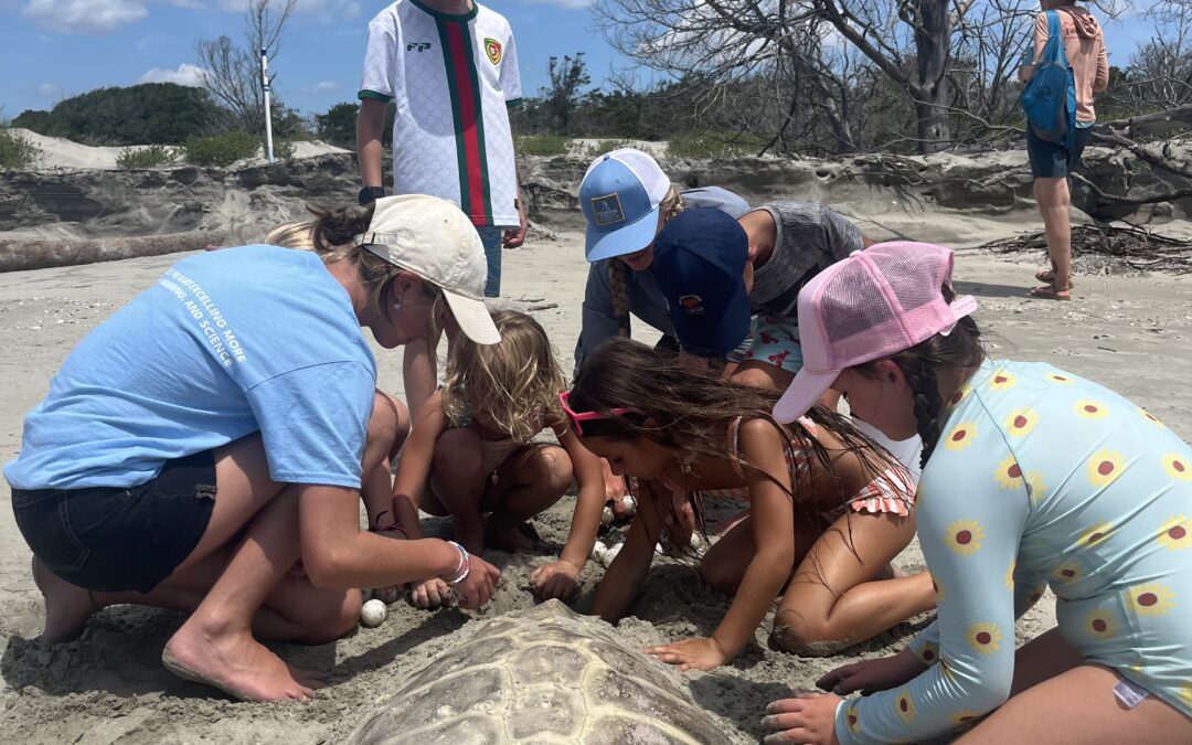 Beach Drop for Sea Turtles Fundraiser on Bulls Island. The Coastal Expeditions Foundation intern worked with kids to do a nest demonstration