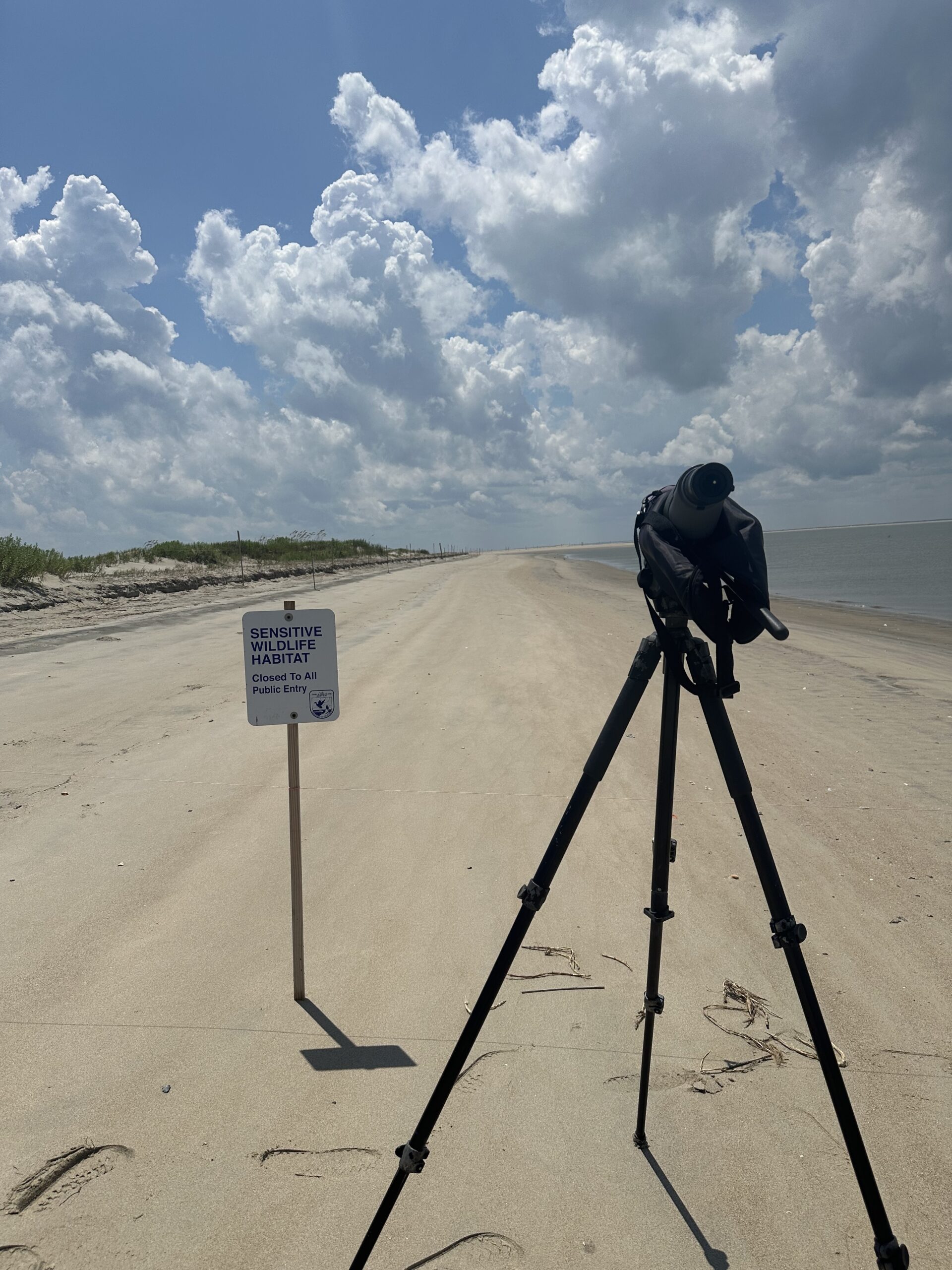 Heidi_birding