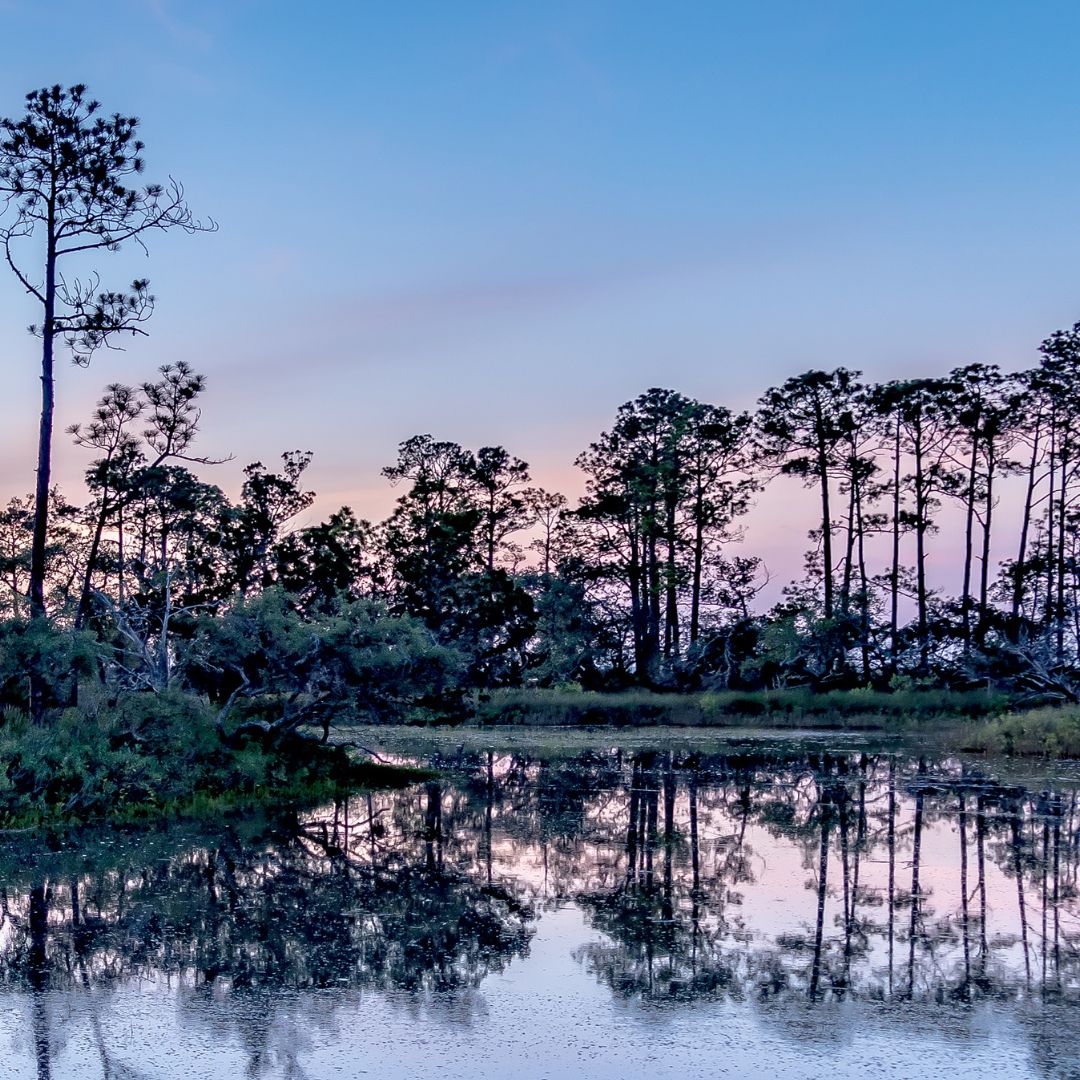 Hunting Island State Park, Coastal Expeditions, Dolphin Boat Tour, Beaufort, Fripp Island, Dawtaw