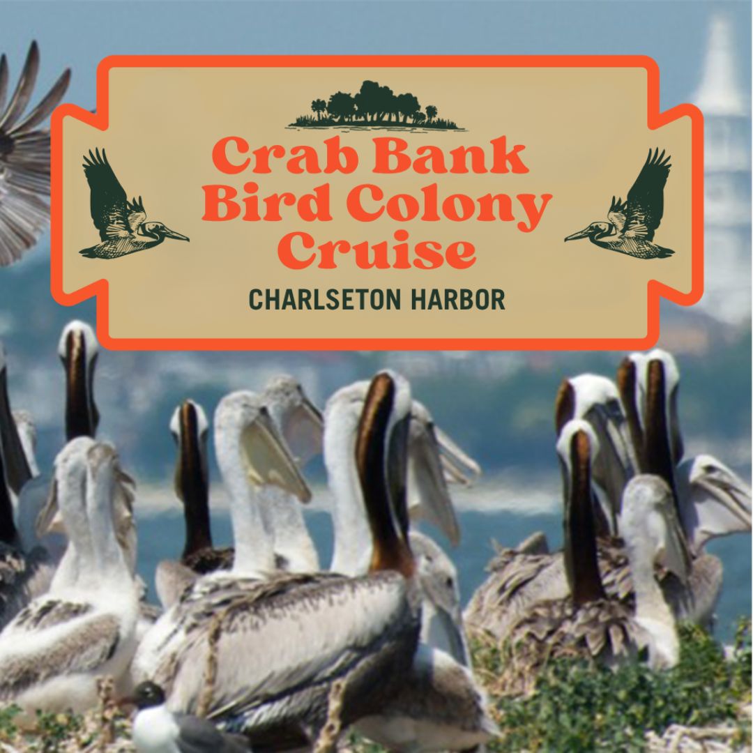 Coastal Expeditions Beaufort, St. Helena Island Full Moon Kayak Tour